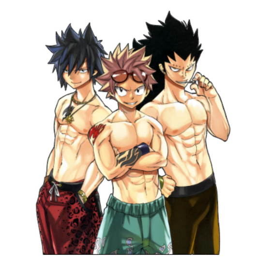 Fairy Tail Natsu Grey Gajeel Sticker Car Decal